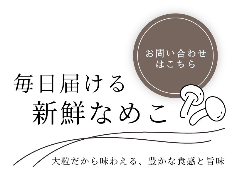 丁寧に栽培したきのことお野菜