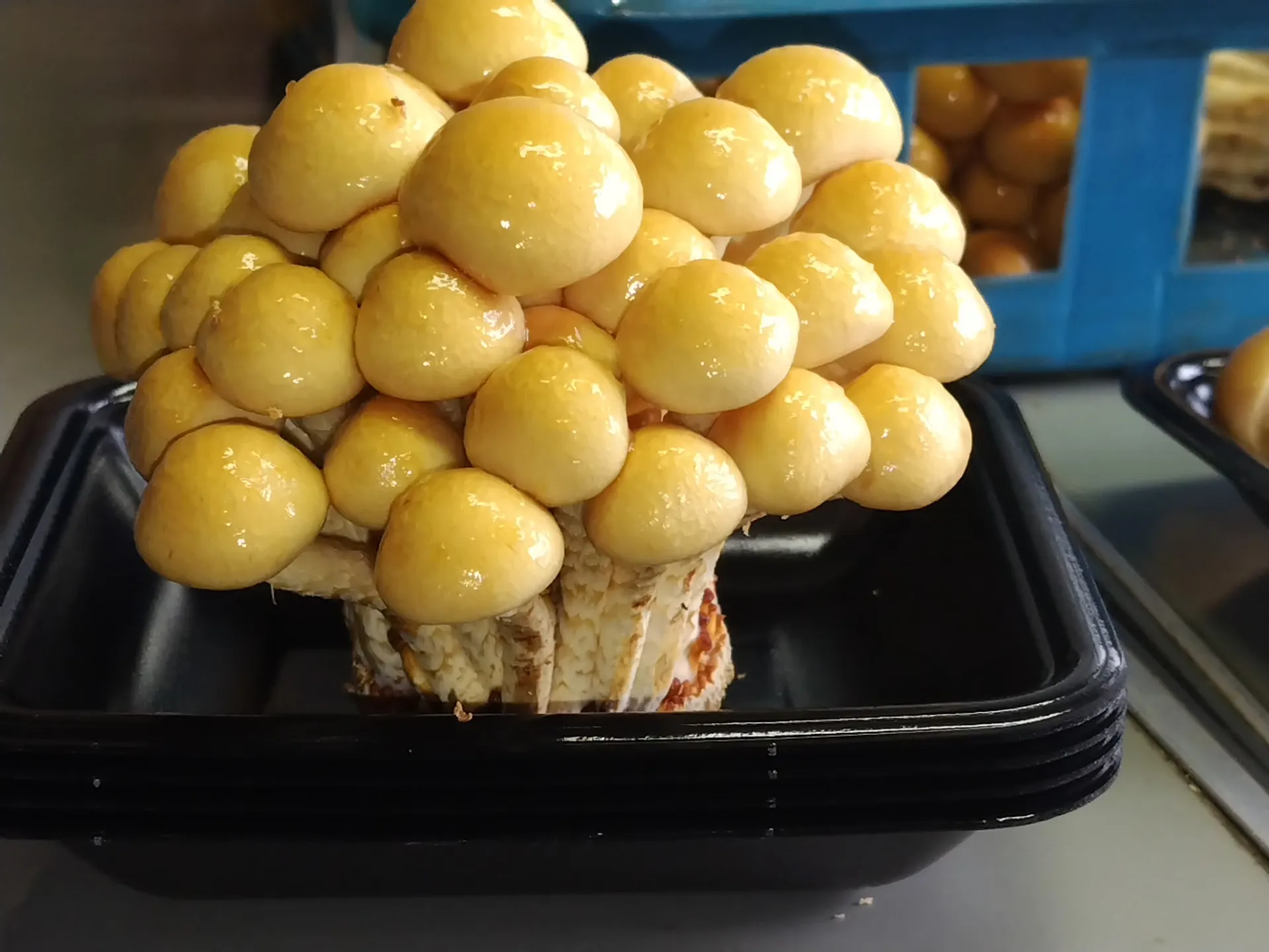 株取りなめこ