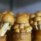 卸